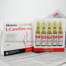 Body Slimming L-Carnitin Injektion 500mg, 1g, 2g